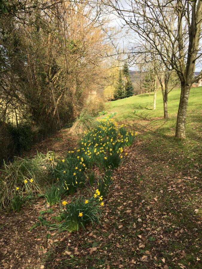 Llanwenarth Cottage A Beautiful Place To Just Be. Abergavenny Eksteriør bilde
