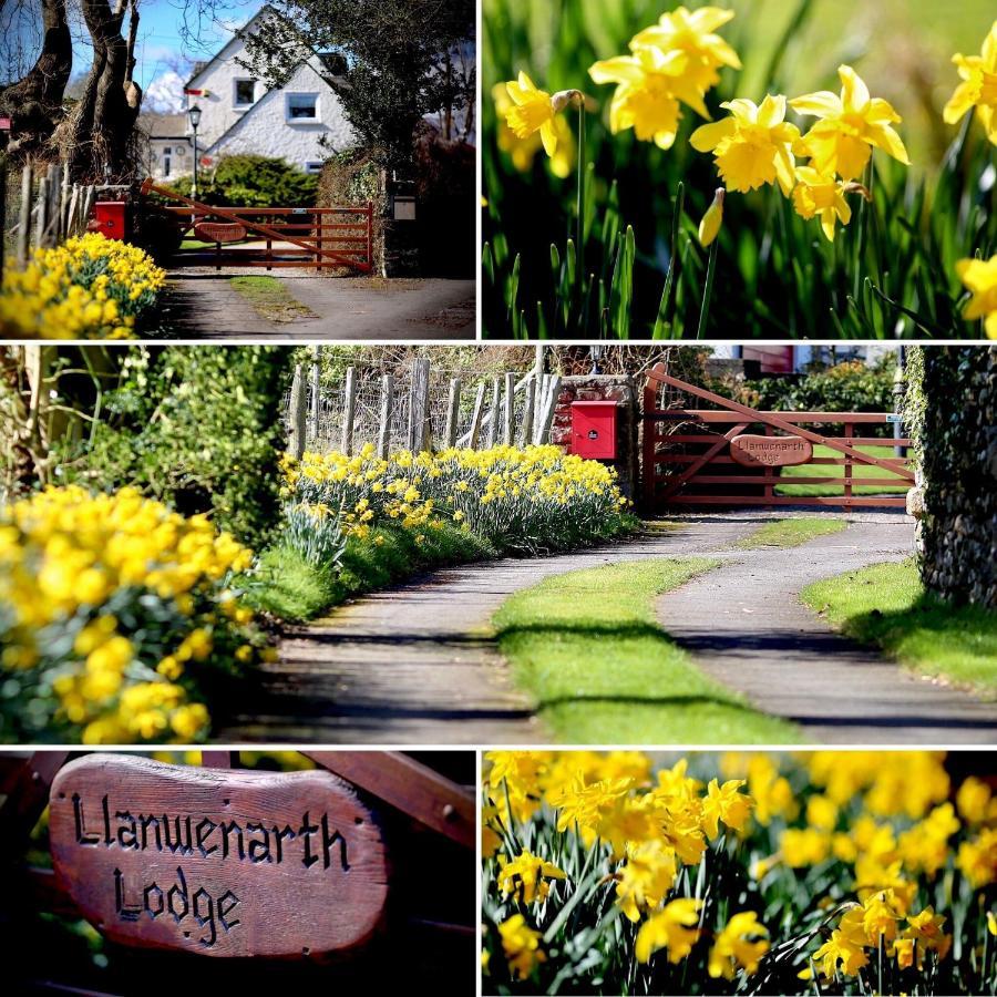 Llanwenarth Cottage A Beautiful Place To Just Be. Abergavenny Eksteriør bilde